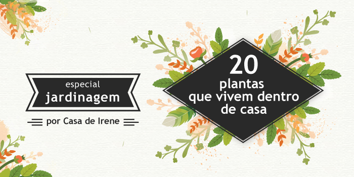 Plantas que crescem dentro de casa